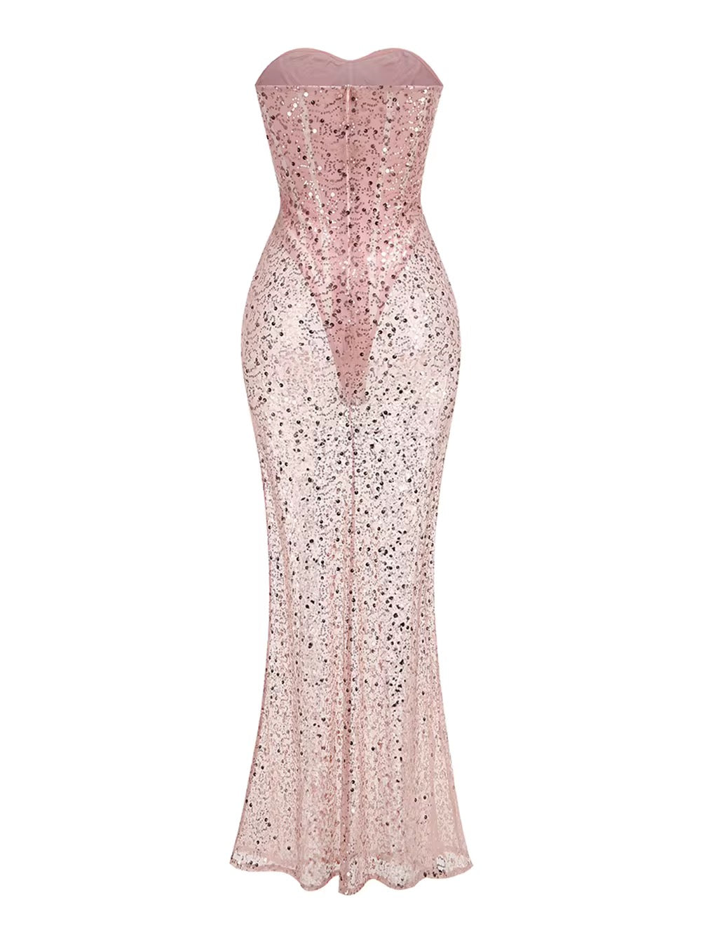 Mesh See Through Strapless Maxi Dress