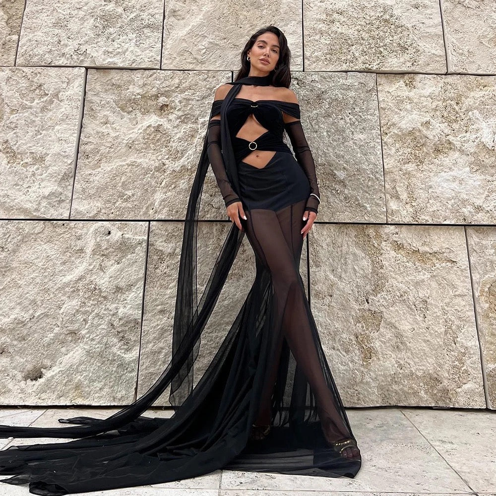 Off The Shoulder Mesh Perspective Long Sleeve dress