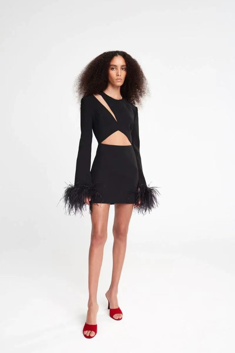 Ania feather mini dress