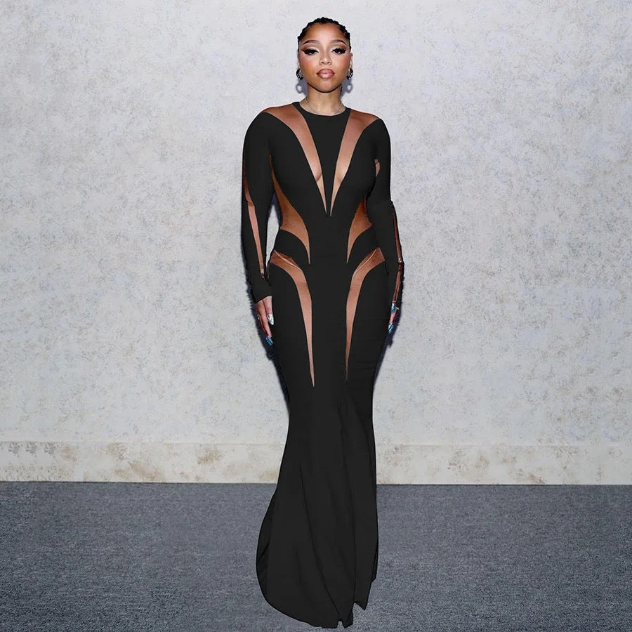 Long Sleeve Mesh Bodycon Maxi Dress REBECATHELABEL