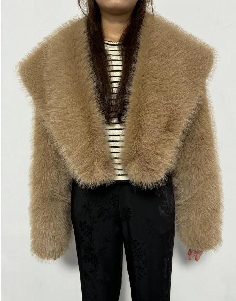 Faux Fur Short Coat Fashionable All Match Fur Coat Women Long Sleeve