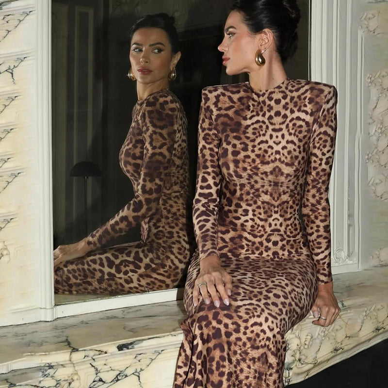 Elegant Sexy Leopard Print round Neck Long Sleeve Slim Fit Sheath Dress Dress